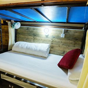 Bed 4-Bed Female Dormitory Room